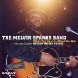 Melvin Sparks Band - What You Hear Is What You Get '2003