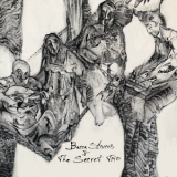 Becca Stevens & The Secret Trio - Becca Stevens & The Secret Trio '2021