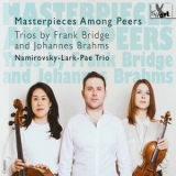 Namirovsky-Lark-Pae Trio - Masterpieces Among Peers '2020