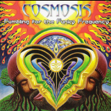 Cosmosis - Fumbling For The Funky Frequency '2009