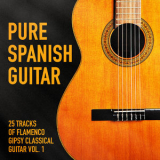 The Spanish Guitar - Pure Spanish Guitar, Vol. 1 (25 Tracks of Flamenco Gipsy Classical Guitar) '2014