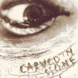 Vince Neil - Carved In Stone '1995