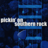 Pickin' on Series - Pickin' On Southern Rock: A Bluegrass Tribute to Southern Rock Hits '2001