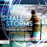 Meredith Blecha-Wells - Martinu: Small Storms '2017