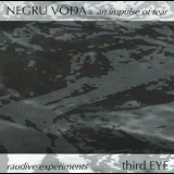 Negru Voda & Third Eye - An Impulse Of Fear & Rauditive Experiments '1998