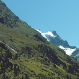Mano Le Tough - Mountains '2012