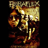 Bobaflex - Chemical Valley '2010