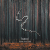 Lunatic Soul - Through Shaded Woods (Deluxe Edition) '2020