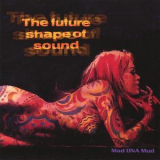 The Future Shape Of Sound - Mad Dna Mud '2004