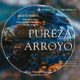 Laurent Dury - Atmosferas Naturales - Pureza del Arroyo '2003