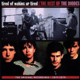 The Diodes - Tired of Waking Up Tired: The Best of The Diodes '1977-79
