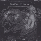 Controlled Death - Beautiful Decomposition '2020
