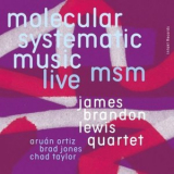 James Brandon Lewis Quartet - Msm Molecular Systematic Music Live '2022