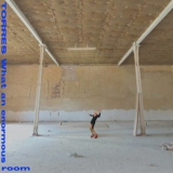 TORRES - What An Enormous Room '2024