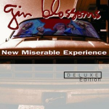 Gin Blossoms - New Miserable Experience '2002