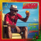 Shaggy - Christmas in the Islands '2020