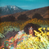 Brittany Howard - What Now '2024
