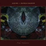 Alio Die & Mathias Grassow - Praha Meditations '2010