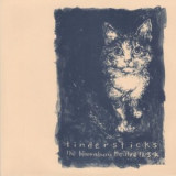 Tindersticks - The Bloomsbury Theatre 12.3.95 '1995