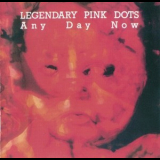 The Legendary Pink Dots - Any Day Now '1987
