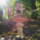 Little Wings - Last '2015