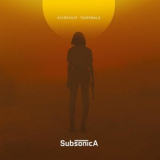 Subsonica - Microchip temporale '2019