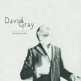 David Gray - Foundling '2010