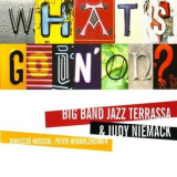 Judy Niemack - Whats Goin on? '2008