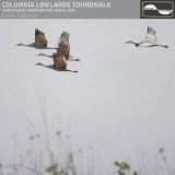 Chad Crouch - Columbia Lowlands Soundwalk '2024
