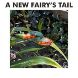 Srigala - A New Fairys Tail '2019