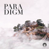 Oliver Schories - Paradigm '2020
