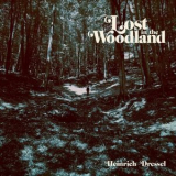 Heinrich Dressel - Lost in the Woodland '2018