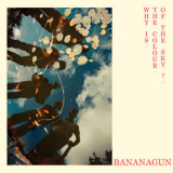 Bananagun - Why is the Colour of the Sky? '2024