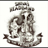 Shivas Headband - In the Primo of Life '1984