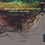 David Friesen Trio - Another Time Another Place '2017