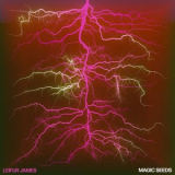 Leifur James - Magic Seeds '2024