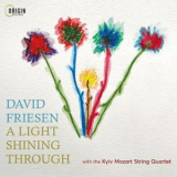 David Friesen - A Light Shining Through '2024