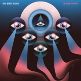 All India Radio - On Pink Floyd '2022