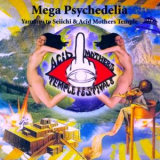 Yamamoto Seiichi - Mega Psychedelia '2011