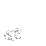 Aoife O'Donovan - Bull Frogs Croon (and Other Songs) '2020