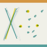 Herd - X '2019