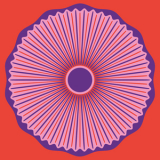 Torres & Fruit Bats -  A Decoration '2024