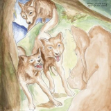 Bonnie Prince Billy - Wolf of the Cosmos '2017