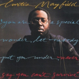 Curtis Mayfield - Never Say You Can't Survive '1977