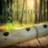 Midori - Dharma '2025