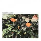 Hakimonu - I See The Yellow Leaves Surround Us '2025