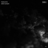 Hoducoma - Silent Scream '2020