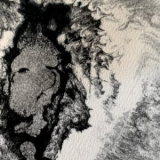Omnia Vox - Perpetume Analizytca '2021