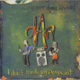Diana Anaid - I Dont Think Im Pregnant '1999