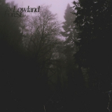 Hello Meteor - The Lowland Forest '2016